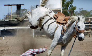 Reiter stürzt von einem Pferd und liegt am Boden